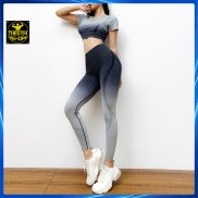 Bộ quần áo tập gym yoga nữ AMIN AM003 có mút ngực vải thoáng mát co dãn 4 chiều nâng mông đồ tập gym yoga nữ tôn dáng