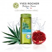 Dầu Gội Dành Cho Tóc Gàu Yves Rocher Anti-Dandruff In Hair Treatment Shampoo 300ml