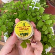 KEM TRIỆT HÔI NÁCH, THÂM NÁCH CÔ BƠ hết hôi chỉ sau 3 ngày hết thâm
