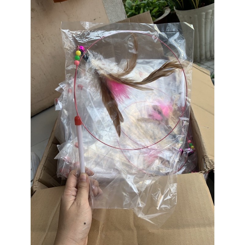 ĐỒ CHƠI CHO MÈO-CẦN CÂU MÈO