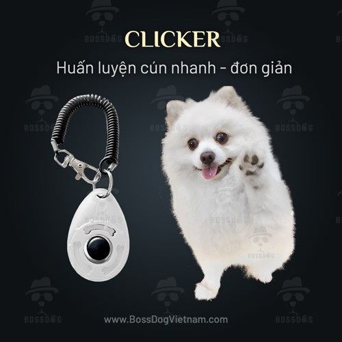 Đồ chơi chó Clicker BENE huấn luyện poodle, husky, corgi, pom,.. nhanh hiệu quả | BH trọn đời | BossDog