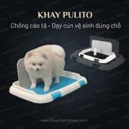 Khay vệ sinh chó phù hợp mọi dòng cún Poodle, Corgi, Pom - Thiết kế có tường, chống cào tã | BossDog