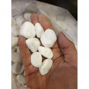  Sỏi Trắng Trang Trí Bể Cá, Tiểu Cảnh, Cây Bon Sai,.. (500Gr)