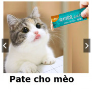 Cat Food Gel dinh dưỡng cho mèo cưng thức ăn dạng ướt cho mèo dạng pate đồ ăn vặt mèo snack súp thưởng mèo
