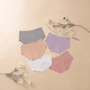 Combo 05 quần lót nữ không đường may Vera 9133