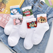 Combo 5 đôi tất shin lợn trắng