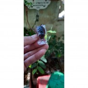 mồi lure cá lóc thái lan, mồi nâu sần