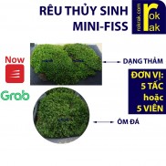 Rêu Minifiss thủy sinh dạng thảm 5 tấc hoặc ôm đá 5 viên