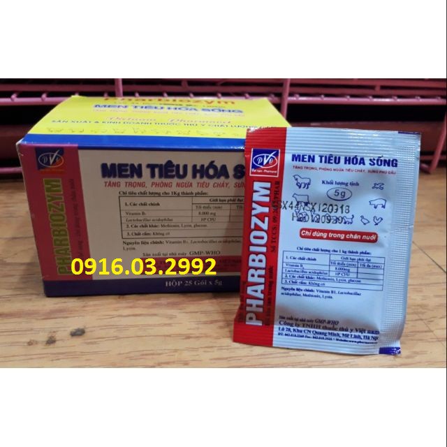 Men tiêu hóa cho chó mèo