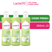 Bộ 3 chai Dung Dịch Vệ Sinh Phụ Nữ Lactacyd Odor Fresh Ngăn Mùi 24H 250ml/chai
