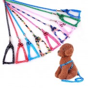 Set Dây xích ngực chó mèo thú cưng chống trầy cổ - Hàng hoa văn cao cấp TC07SP2