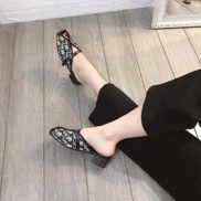 Sục D ghi pha da mẫu mới