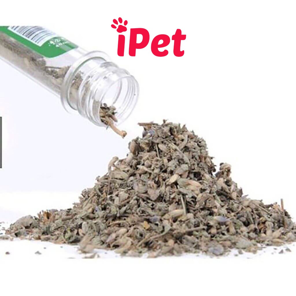 Ống Cỏ Bạc Hà Mèo Catnip - iPet Shop