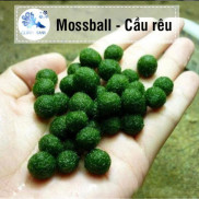 Tảo Marimo Nhật Tảo cầu may mắn Moss ball - Bóng rêu hồ tép