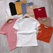 Áo thun ôm cổ tròn xin xin, Áo phông cổ tròn ngắn tay chất co giãn XX8101 - NhiNhiShop