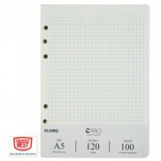 Ruột sổ còng Caro A5 - 100 tờ; MS: 996