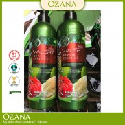 Dầu gội bưởi ngăn rụng tóc suôn mềm mượt grapefruit chính hãng giá rẻ CT01