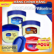 Dưỡng Môi Vaseline + Vaseina 7g Đủ Màu