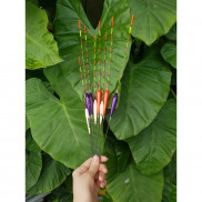  Phao Câu Đài,Phao Kim,Chất Lượng,Báo Cá Chuẩn