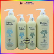 Dầu gội biotin  voudioty ngăn rụng tóc cho nam nữ dầu gội biotin collagen phục hồi siêu mượt, Mỹ phẩm tóc yến nhi DG01