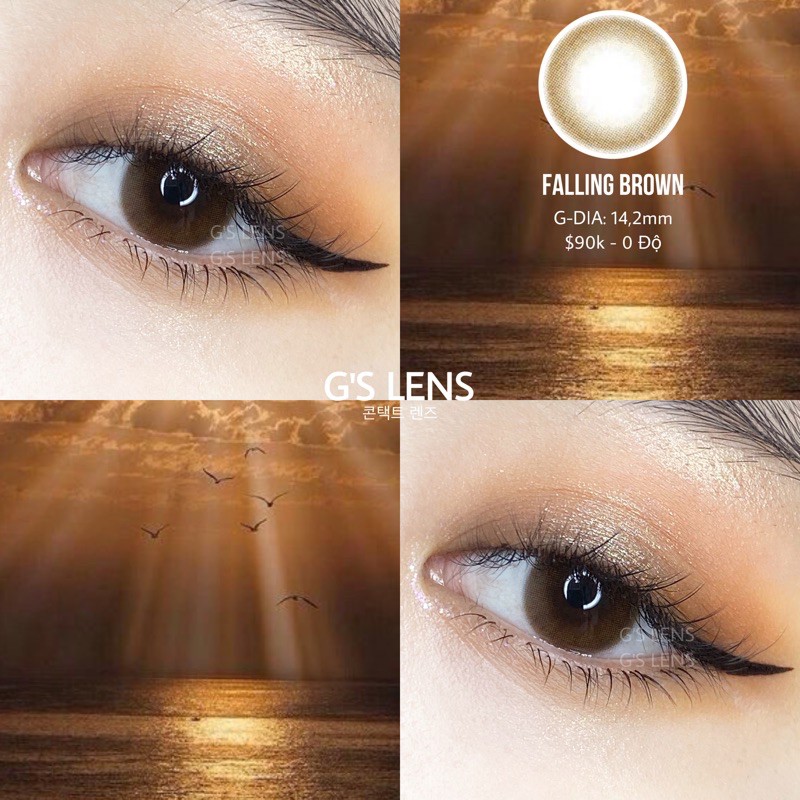 Falling Brown-Kính Áp Tròng Nâu Trầm Tối Giãn-0 Độ