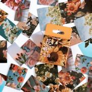 Bộ 46 stickers trang trí hoa cảnh