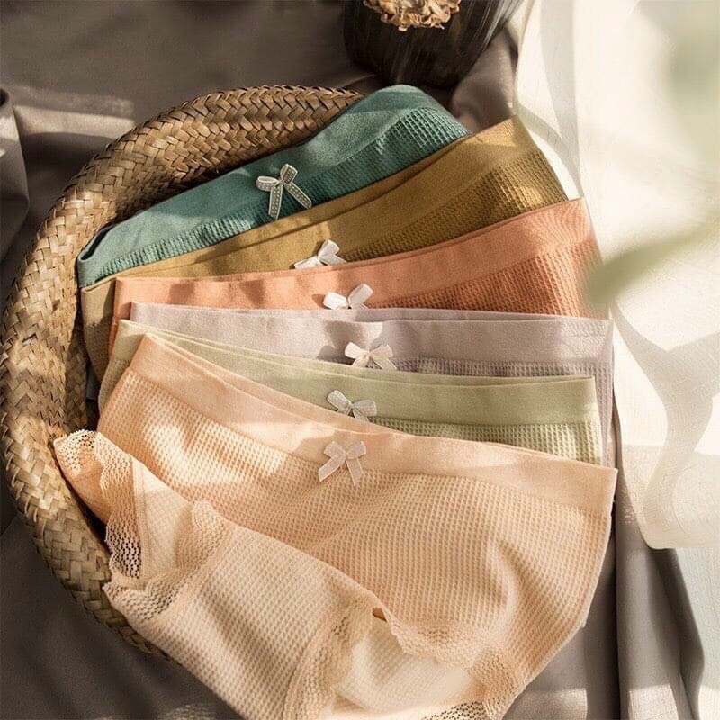QUẦN LÓT COTTON THÔNG HƠI VIỀN REN 3312