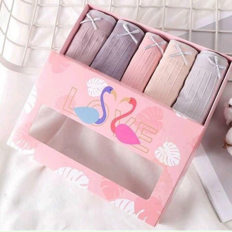 HỘP 5 QUẦN LÓT COTTON CON HẠC