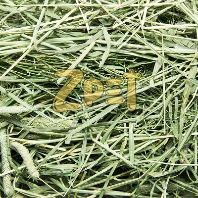 Thức ăn cho Thỏ Bọ - Cỏ khô Timothy 500gr loại thường