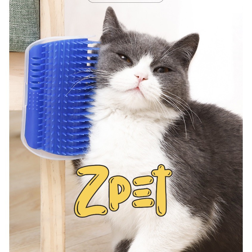 Đồ chơi gãi lông cho mèo có thể bỏ catnip vào.