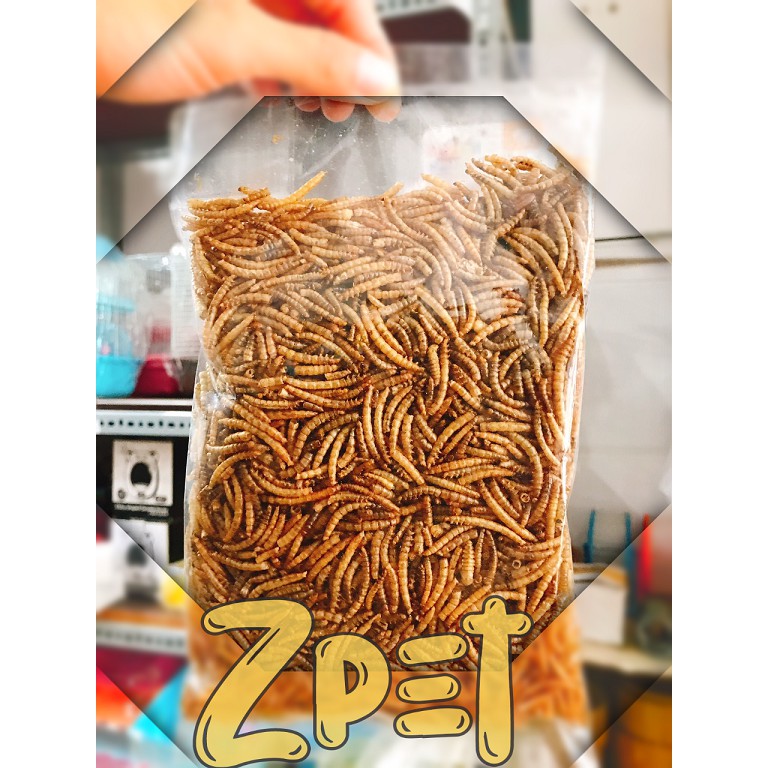 Sâu trung dinh dưỡng dành cho hamster giá rẻ 100g