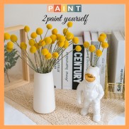Hoa khô trang trí lọ hoa thủy tinh, bình gốm, Hoa cúc tròn vàng decor, phụ kiện chụp ảnh