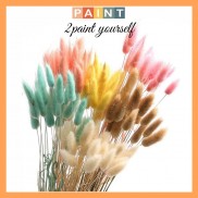 20 bông cỏ đuôi thỏ, cỏ lau Mỹ, Hoa khô decor chụp ảnh, trang trí bình gốm sứ, lọ thủy tinh