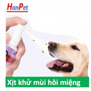 HCM- ORAL SPAY PET chai lớn 120ml Xịt chống hôi miệng chó Xịt vệ sinh khử mùi hôi răng miệng cho chó mèo