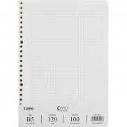  Ruột giấy refill sổ còng Caro B5 - 100 tờ; MS: 546