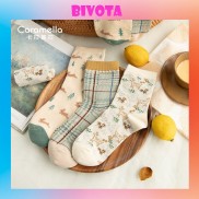 Tất cổ cao Bivota vớ tất nữ cotton thu đông ngọt ngào họa tiết xinh xắn T103