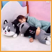 Gấu bông giá rẻ husky ôm ngủ mèo cute đồ chơi đáng yêu cho bé size 50cm 60cm 90cm