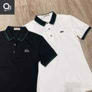 Aó có cổ nam cá sấu