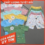 Sale! Bộ quần áo trẻ em cộc tay Minky mom chính hãng thun lạnh hình họa tiết toàn thân cho bé trai và bé gái (5-18kg)