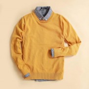 ÁO LEN NAM CỔ TRÒN CHẤT COTTON ĐẸP MẪU MỚI NHẤT 2020 AL76