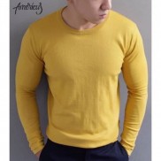 ÁO LEN NAM CỔ TRÒN COTTON dài tay cao cấp FAVITI AL76