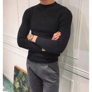 Áo Len Nam Cổ 3 Phân dài tay Quảng Châu Dày Đẹp FAVITI AL86