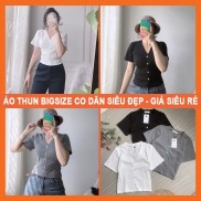 Áo thun nữ tay ngắn cổ tim có Bigsize, Áo thun croptop nữ gân tăm không cổ basic MADELA gân tăm