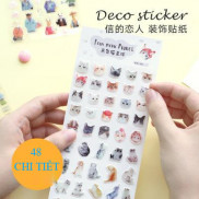Bộ 3 Miếng Sticker dán Momoi dễ thương