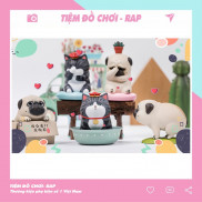 Set 5 mô hình chó pug mèo hoàng thượng biểu cảm bất lực đứng ị trong chậu trong hộp kèm phụ kiện để bàn dễ thương cute