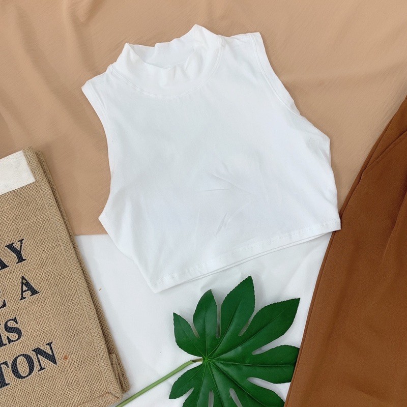 ÁO CỔ LỌ BASIC [Moment House]