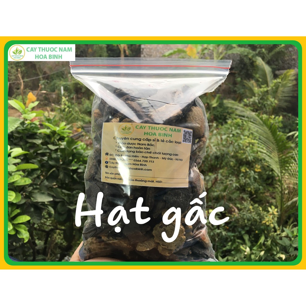 500g hạt gấc khô (mộc miết tử)