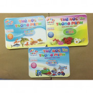 Flash card cho bé - Combo 11 bộ thẻ học thông minh ( mỗi bộ gồm 20 thẻ ) ( BIBO )
