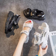 Sandan chữ kí siêu hót hít