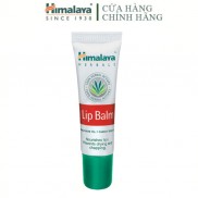 Son dưỡng hồng môi chiết xuất cà rốt Himalaya Lip Balm 10g